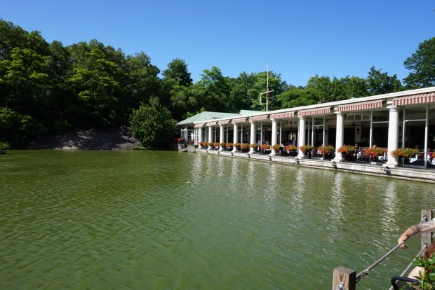 photo-11-06-2016-21-13-39