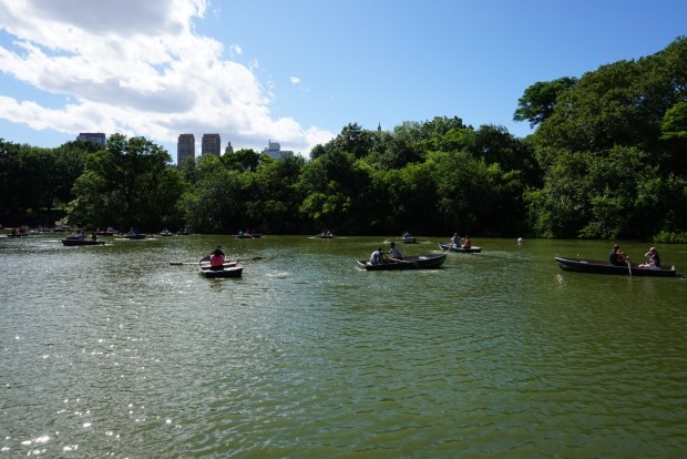 photo-11-06-2016-21-13-45