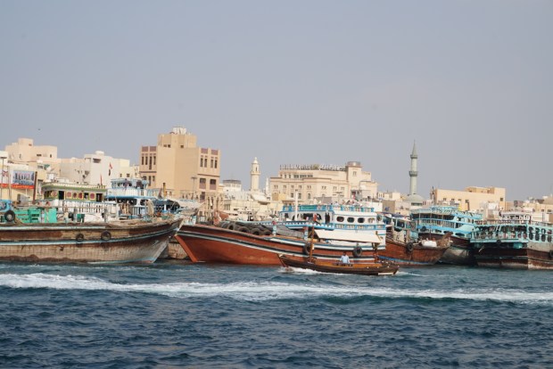 photo-15-11-2016-04-44-02