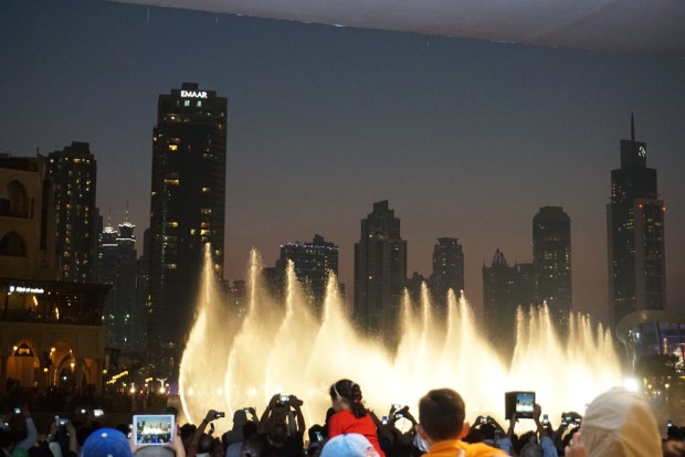 photo-15-11-2016-10-56-27